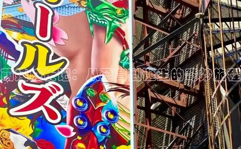 满天星app漫画免费下载